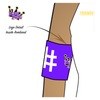 Fountain City Roller Derby Royal Pains: Reversible Armbands